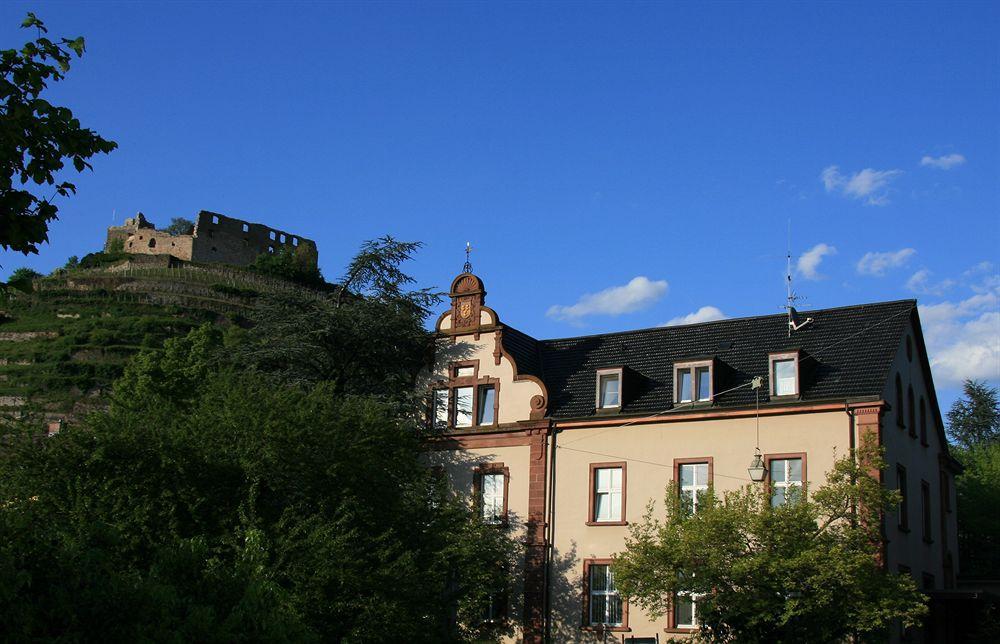 Gaestehaus Goethe シュタウフェン・イム・ブライスガウ エクステリア 写真